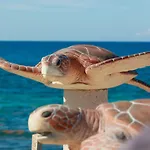 Casa Coral 1
