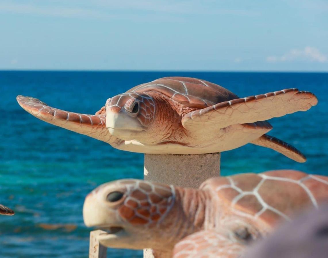 Casa Coral 1 * Isla Mujeres